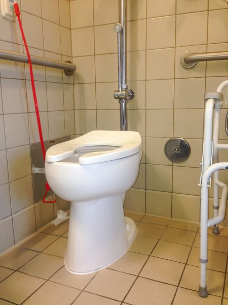 Accessible Bathroom Install